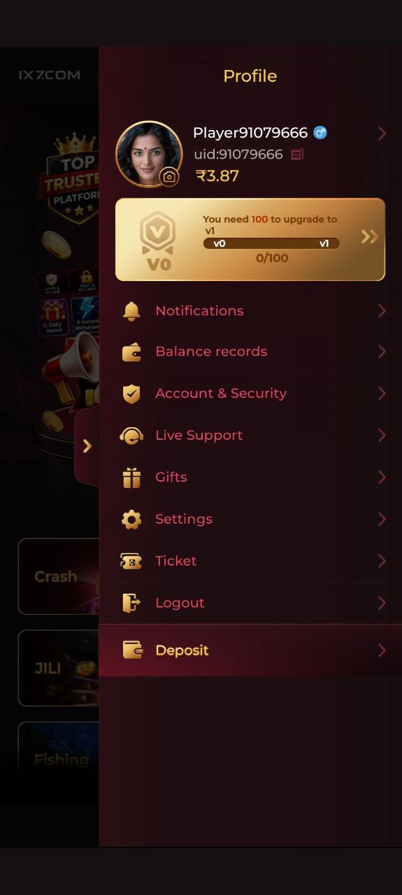 ix7 gamme profile dashboard showing account balance, account security, deposit, live support, and settings